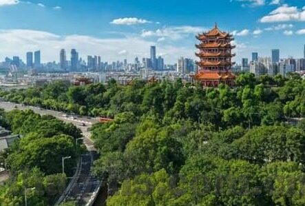 爱足球比分-爱足球比分，一场跨越数字与激情的奇妙旅程