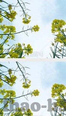 波8足球比分网-揭秘波8足球比分网，球迷的实时数据宝库与赛事分析利器