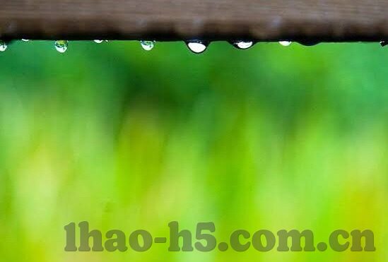 淘宝足球竞彩比分-淘宝足球竞彩比分，一场数字背后的狂欢与理性博弈