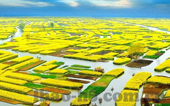 中国对南非足球比分-绿茵烽火映中非情，中国对南非足球比分的背后故事