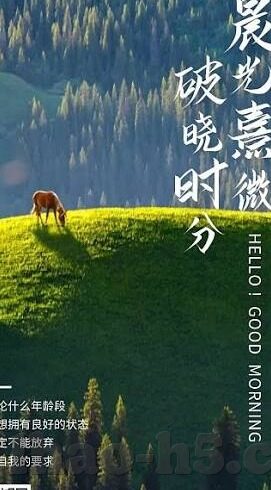 足球比分前面-足球比分前面,那些被忽略的战术密码与赛场暗涌