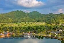 足球比分伊拉克-中国-伊拉克VS中国，足球比分背后的较量与思考