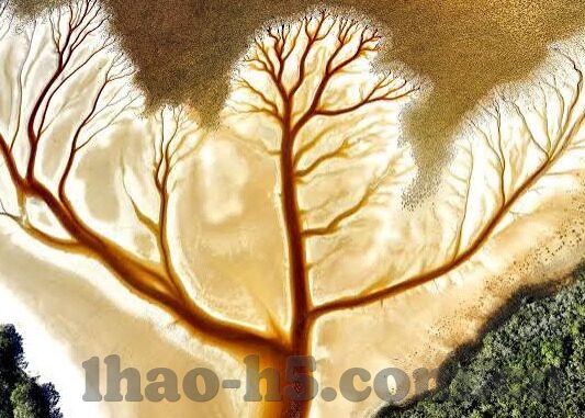 足球多少种比分-足球比分大揭秘，从0-0到天文数字，一场关于数字的狂欢
